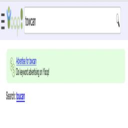 SearchSpellCorrect.png