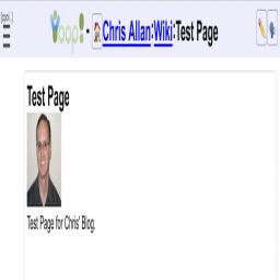 WikiPage.png